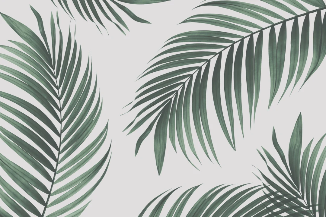 Tropical Palm Wallpaper Mural