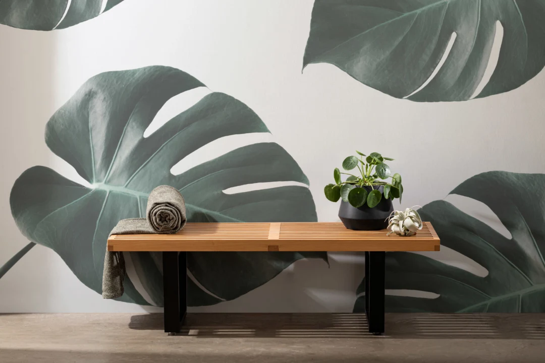Photographic Monstera Wallpaper Mural