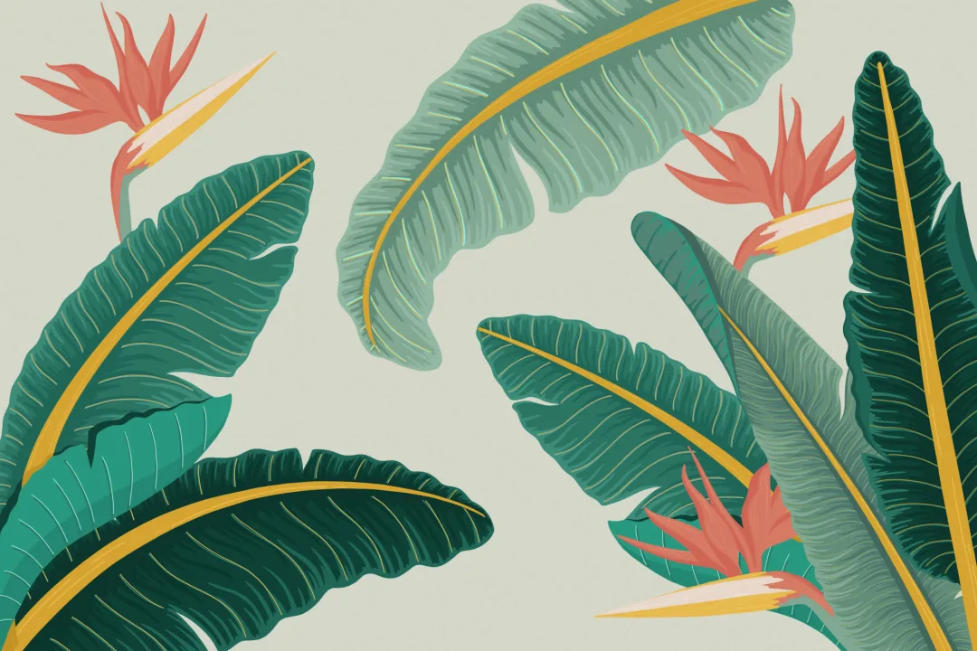 Tropical Green Banana Leaf Bird of Paradise Wallpaper Mural