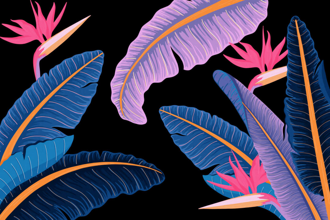 Blue Banana Leaf Bird of Paradise Tropical Fototapet