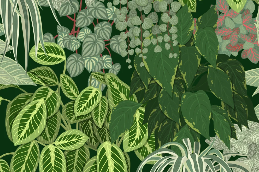 Papier Peint Feuillage Vert avec Jardin Vertical à Motifs de Plantes d’Intérieur