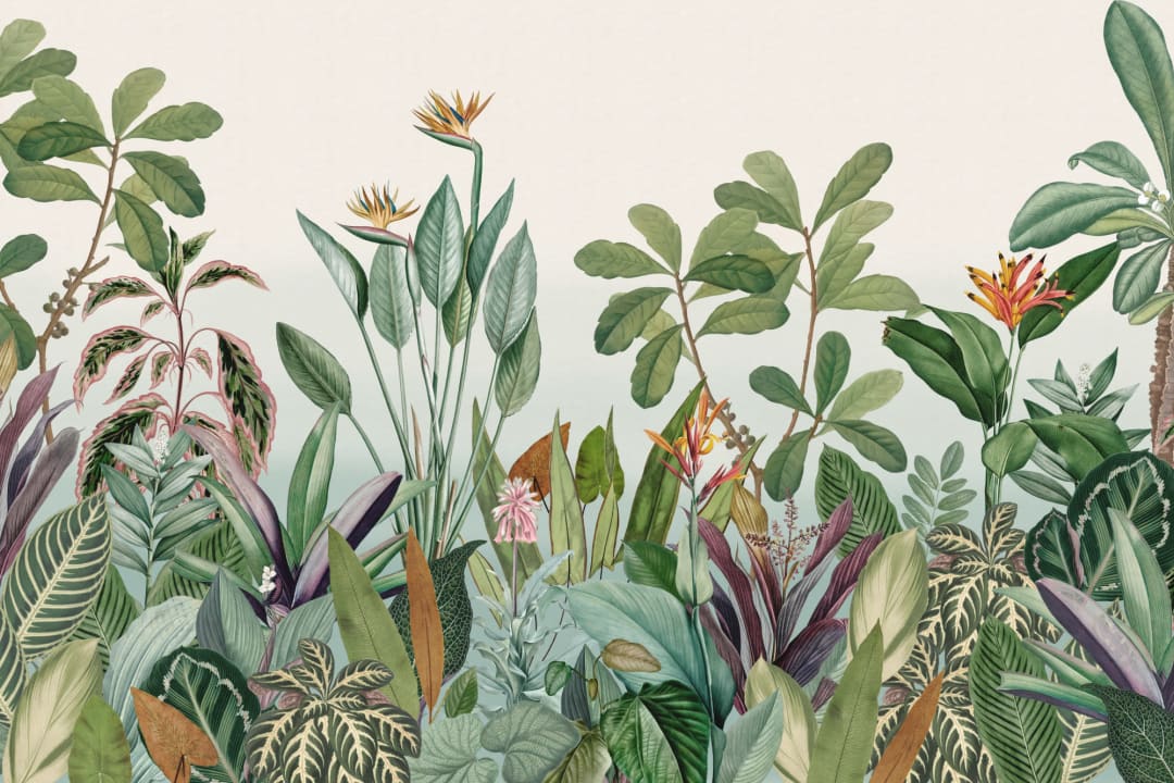Tropical Plants Jungle Landscape Wallpaper Mural