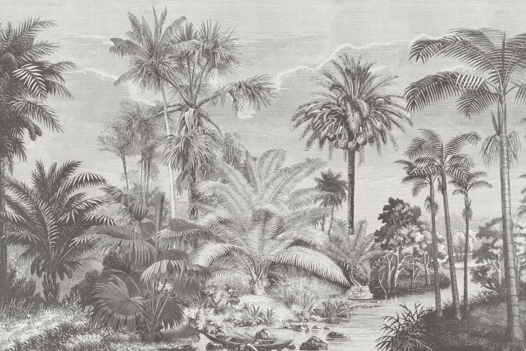 Monokrom Vintage Jungle fototapet