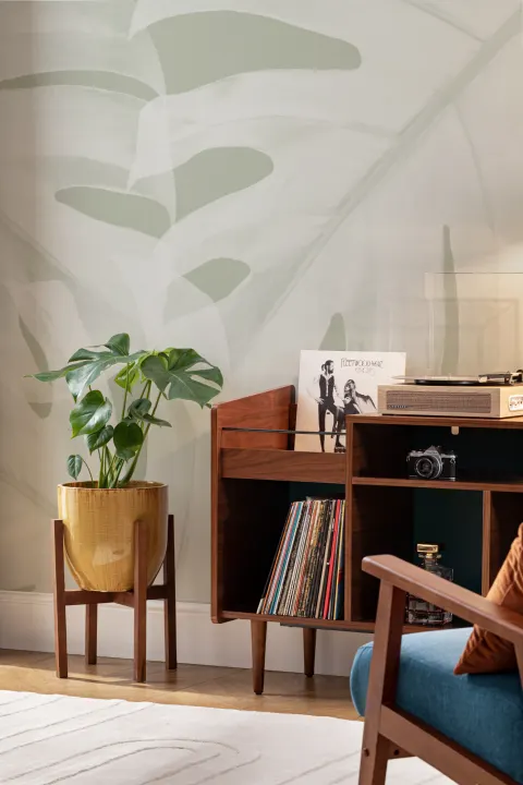 Duża fototapeta ścienna z zielonymi liśćmi Monstera