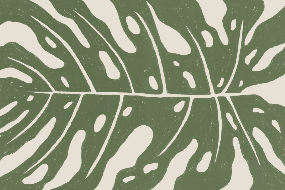 Grön jätte Monstera Leaf fototapet