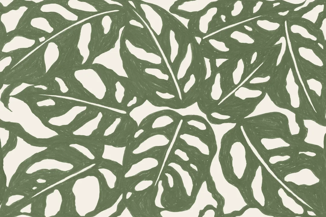 Grönt upprepat mönster Monstera Leaf fototapet