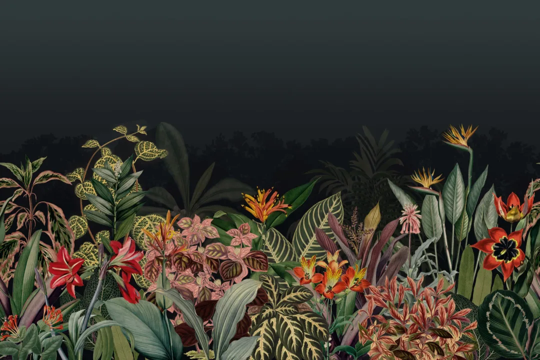 Panoramique tropical vintage vert foncé