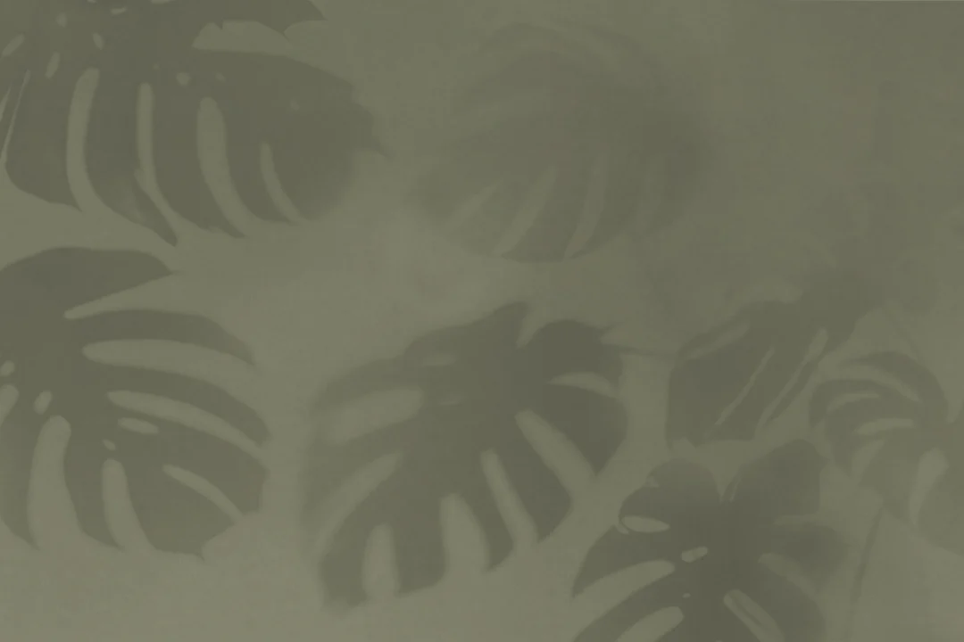 Papier peint panoramique de feuilles de monstera vertes