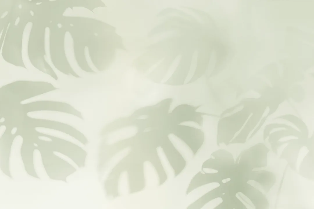 Sage Green Monstera Leaf Shadow Mural