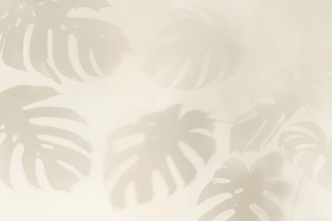 Neutral Monstera Blad Skugga Mural-tapeter