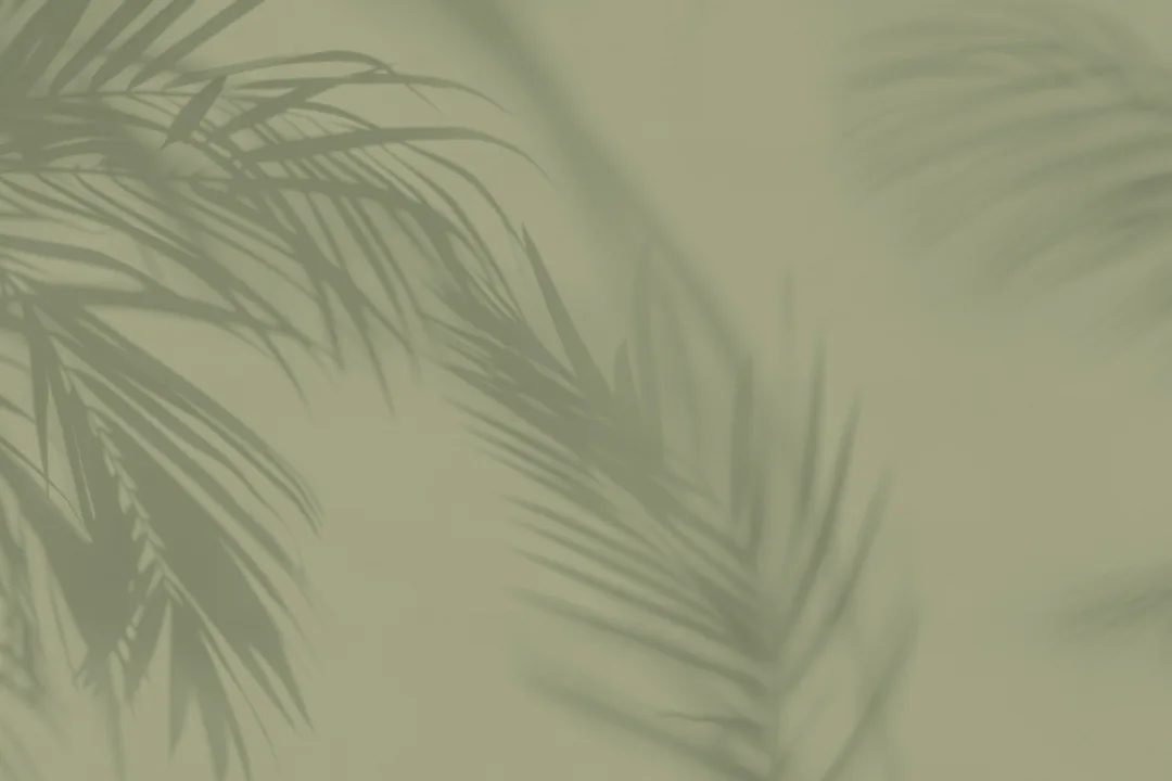 Green Palm Leaf Shadow Mural