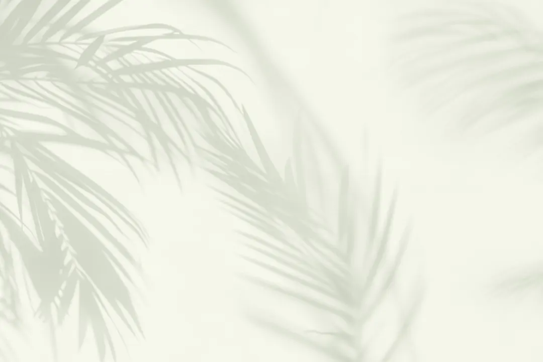 Light Green Palm Leaf Shadow Mural