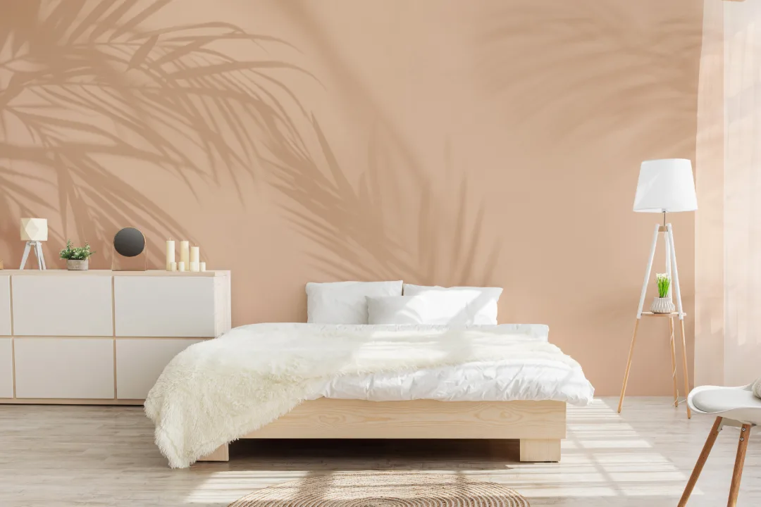 Peach Palm Leaf Shadow Mural