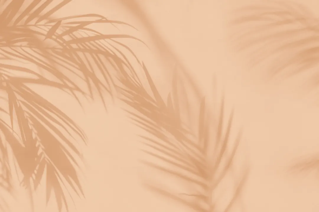 Peach Palm Leaf Shadow Mural-tapeter