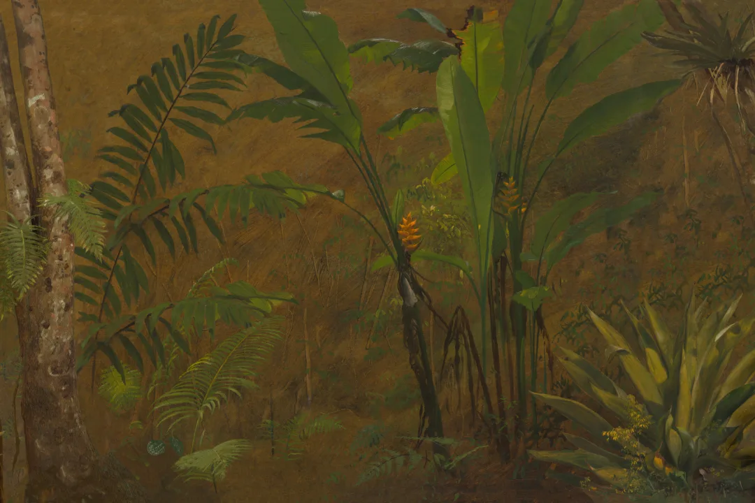 Wild Tropical Jungle Oil Painting Mural