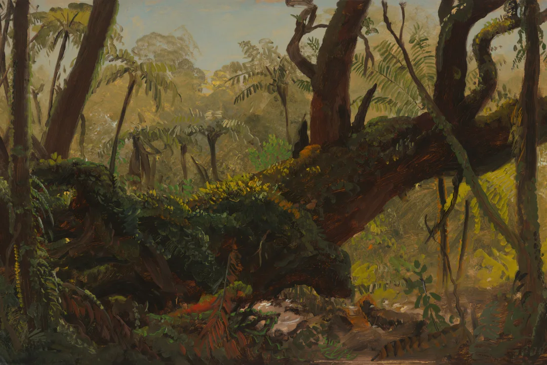 Papier peint panoramique peinture à l'huile représentant une jungle tropicale moussue