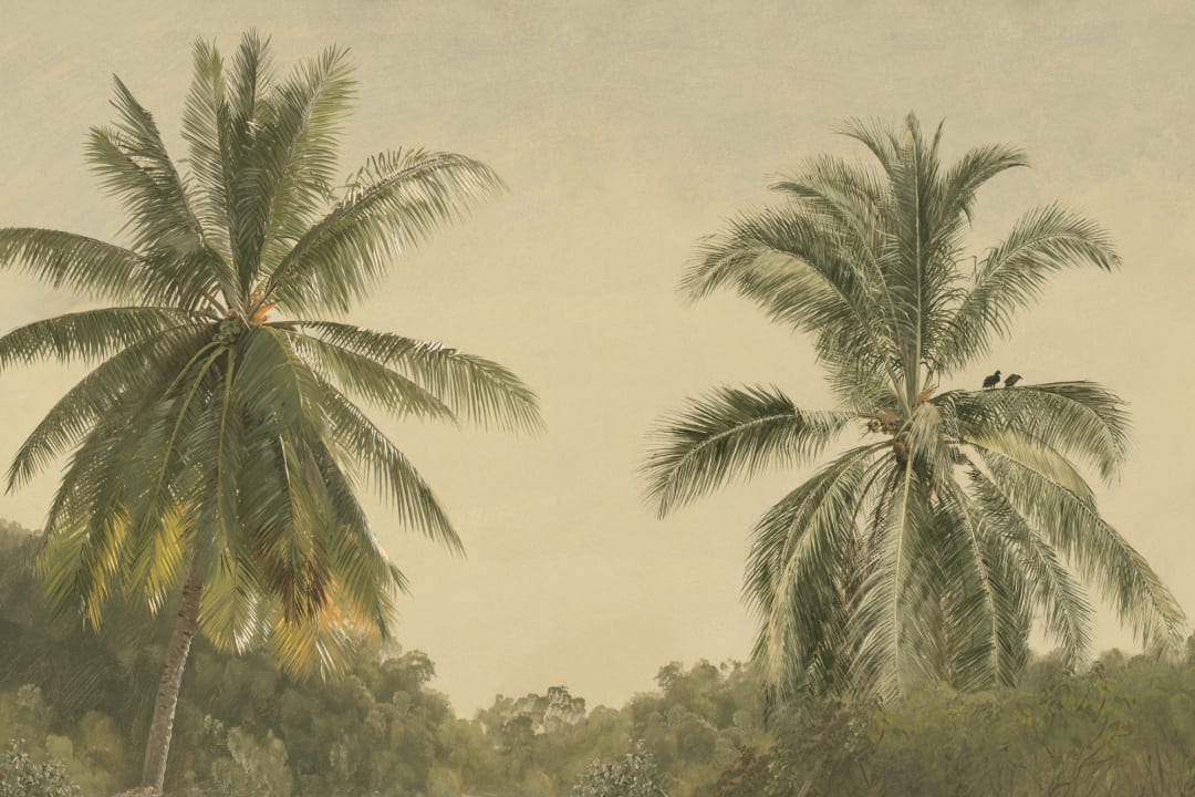 Tropical Palms Oil Painting Mural