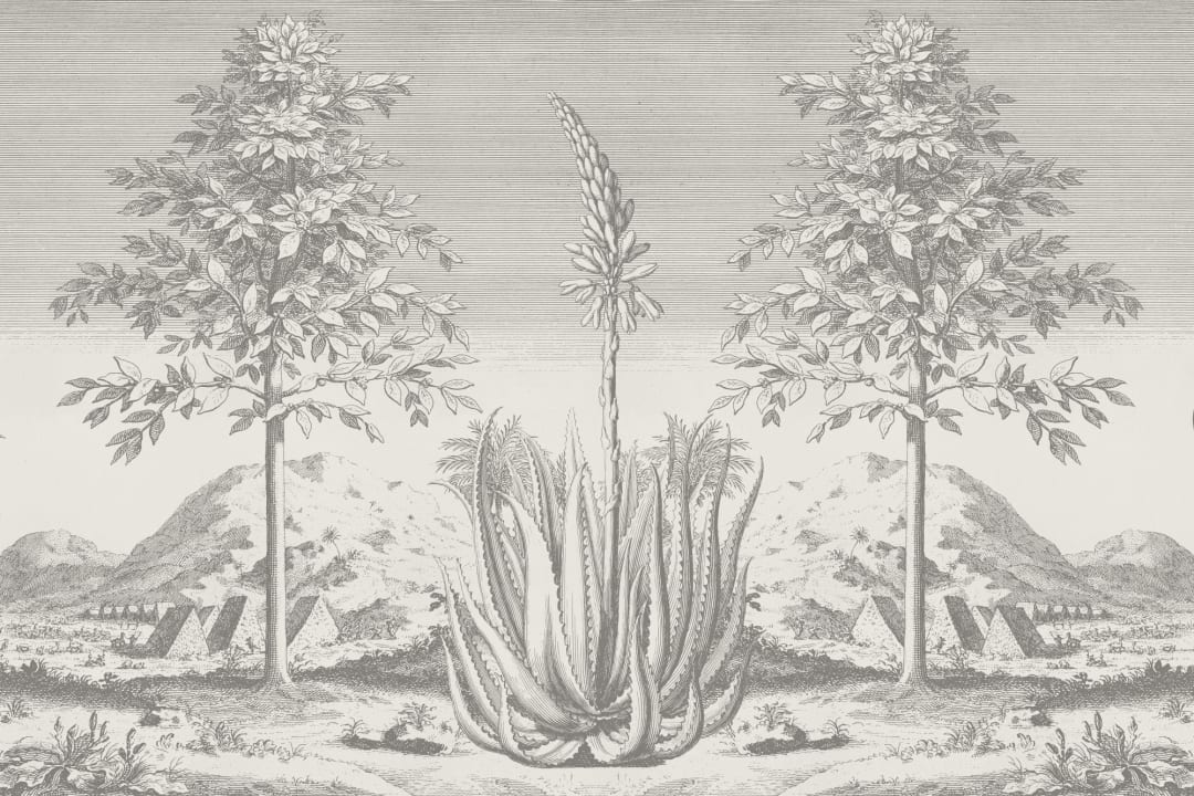 Gray Aloe Vera Botanical Mural