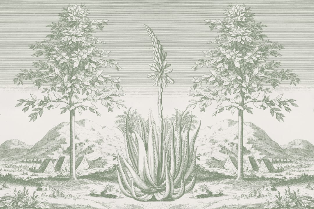 Green Aloe Vera Botanical Mural