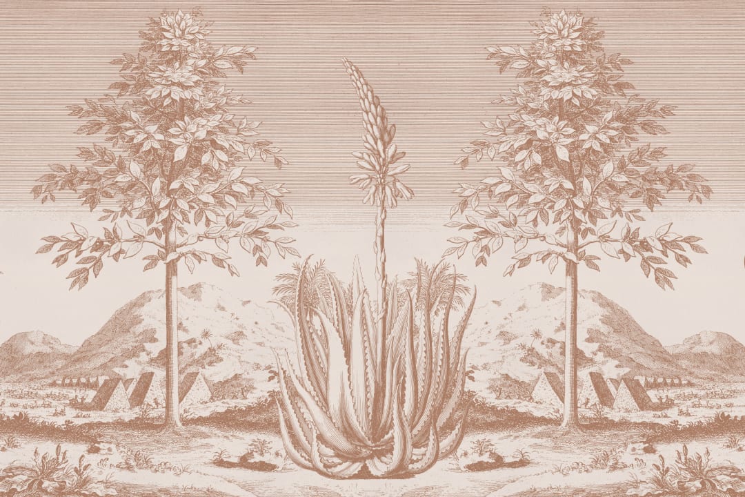 Terracotta Aloe Vera Botanical Mural