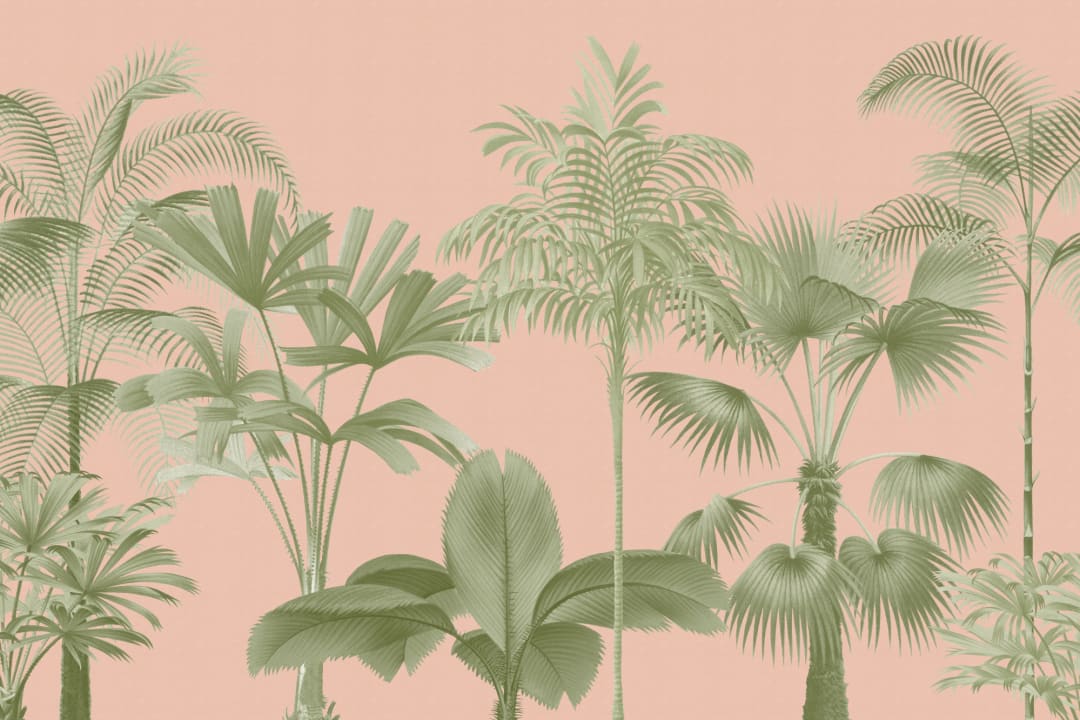 Pink Vintage Tropical Palm Tree Mural