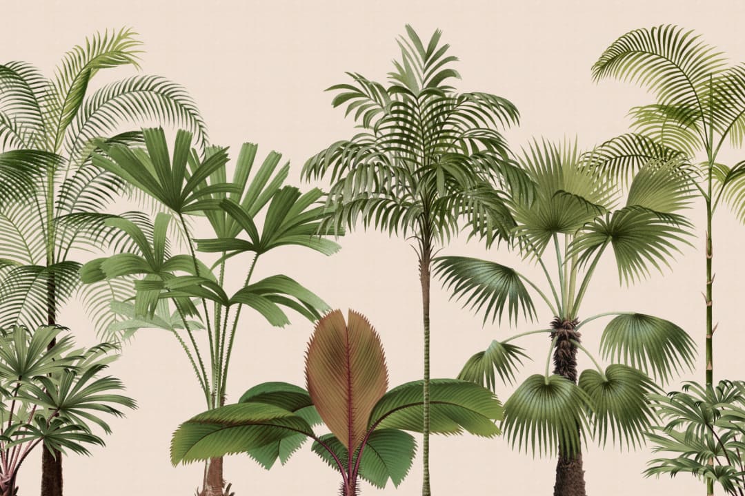 Green Vintage Tropical Palm Tree Mural