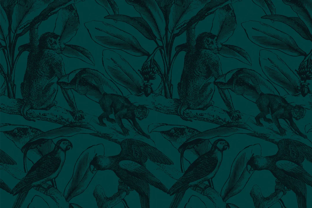 Papier Peint Panoramique Bleu Pétrole à Motif Singe Oiseaux Exotiques et Feuille de Bananier
