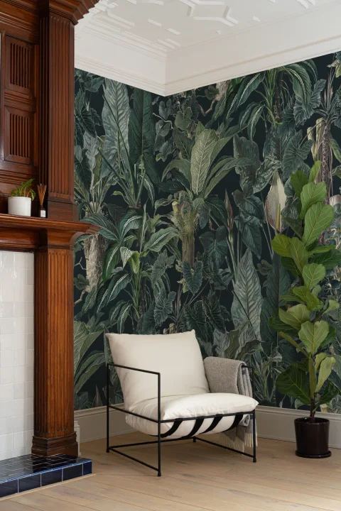 Papier peint panoramique sur les plantes tropicales sombres et feuillues