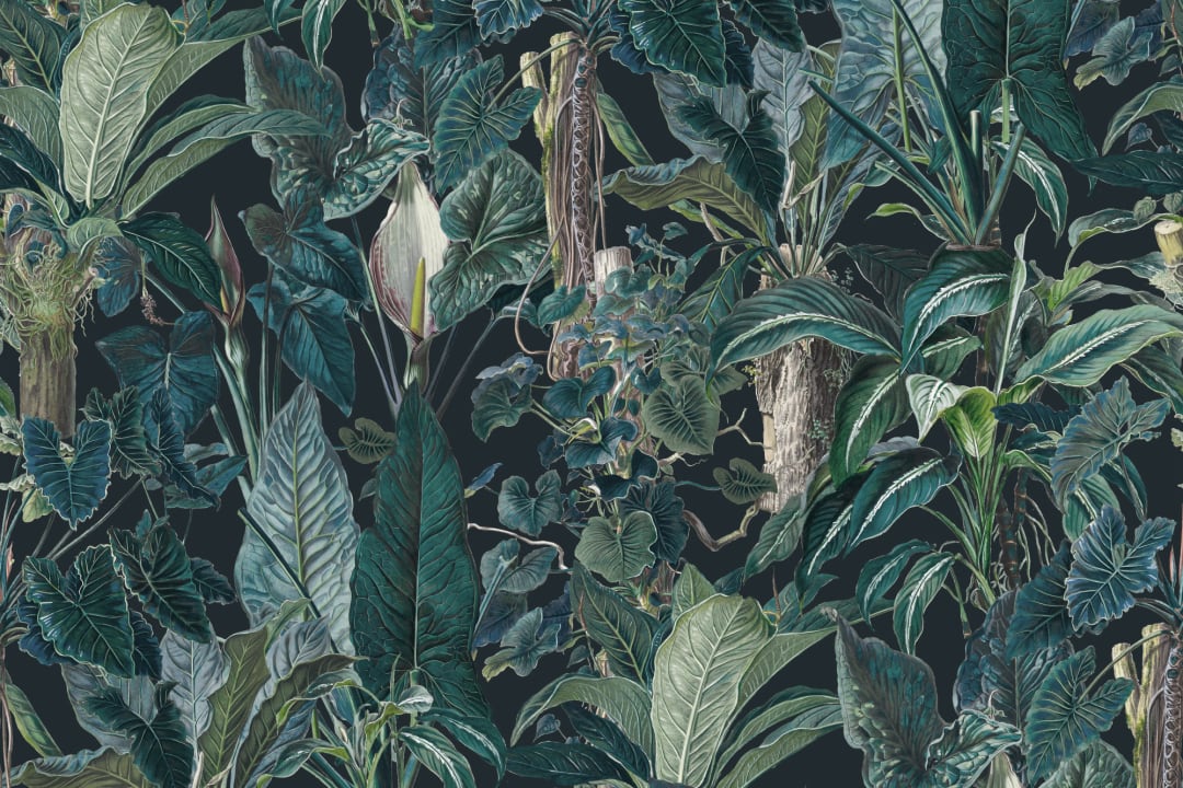 Papier peint panoramique sur les plantes tropicales sombres et feuillues