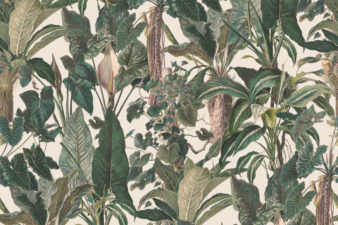 Classic Tropical Illustrated Leafy Plants Mural