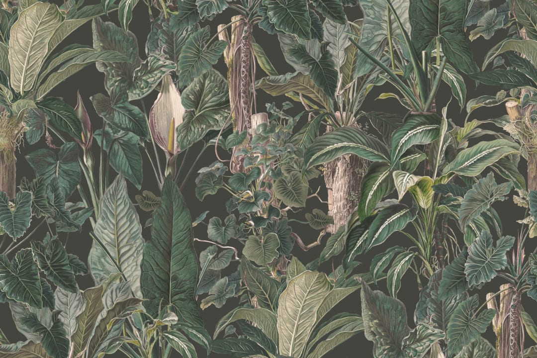 Papier peint panoramique vert tropical illustré Plantes à feuilles