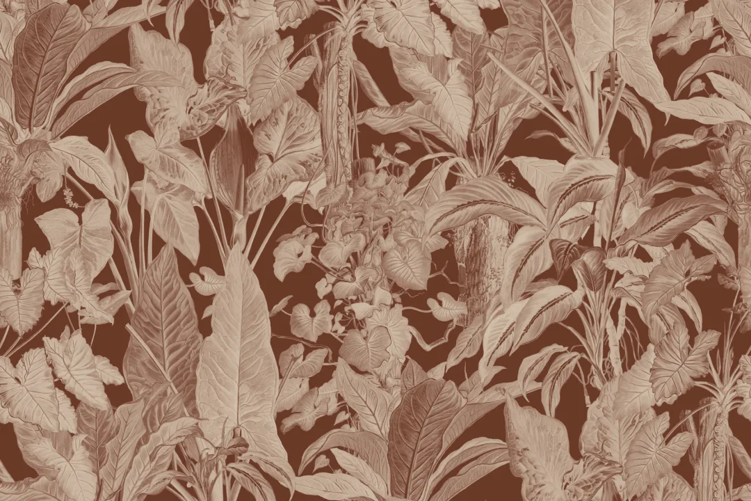 Mural de papel pintado de plantas frondosas tropicales ilustradas de color marrón