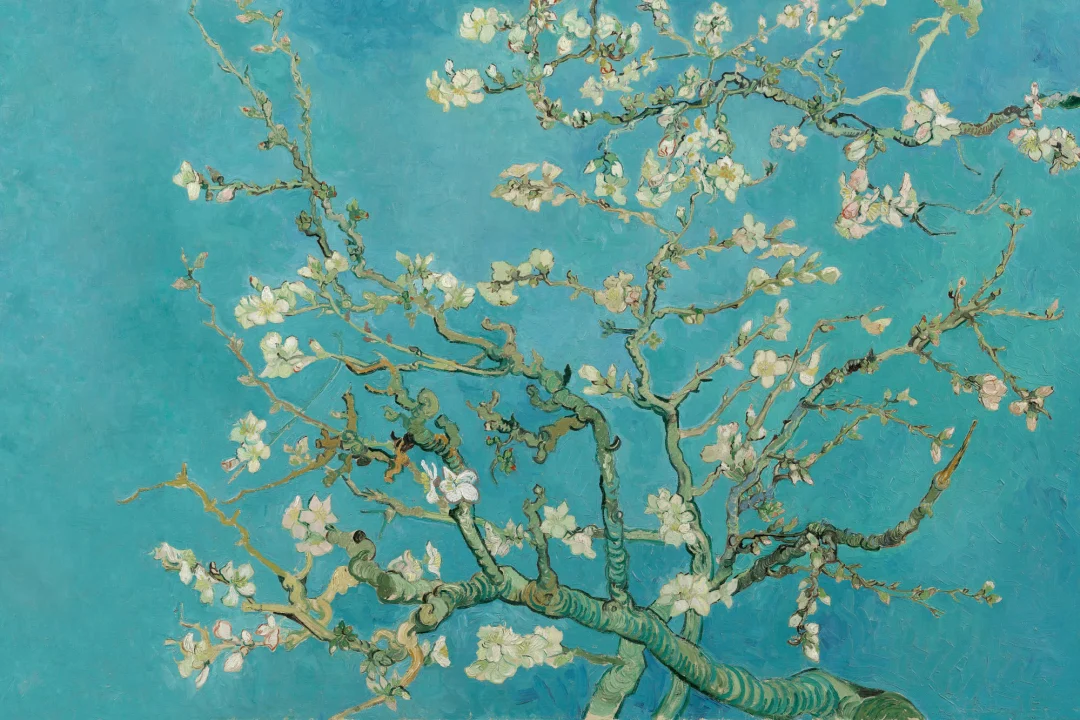 Carta da Parati con Rami di Mandorlo in Fiore di Van Gogh