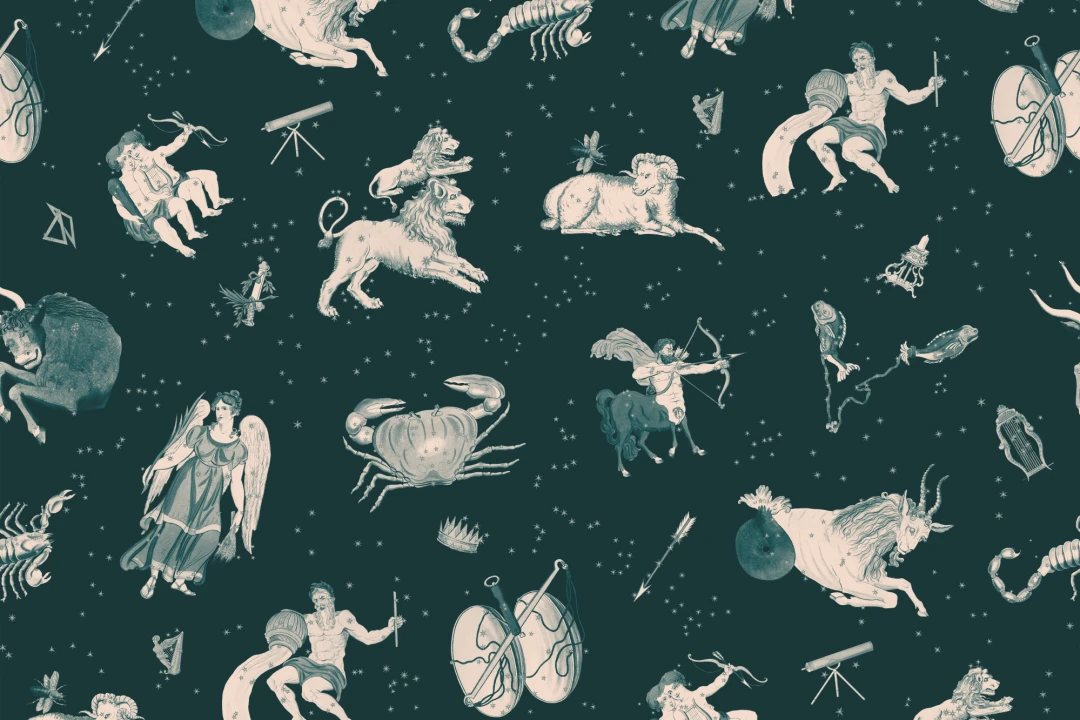 Teal Illustrated Astrological Star Signs Mural