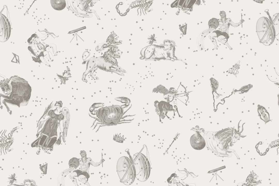 Gray Illustrated Astrological Star Signs Mural