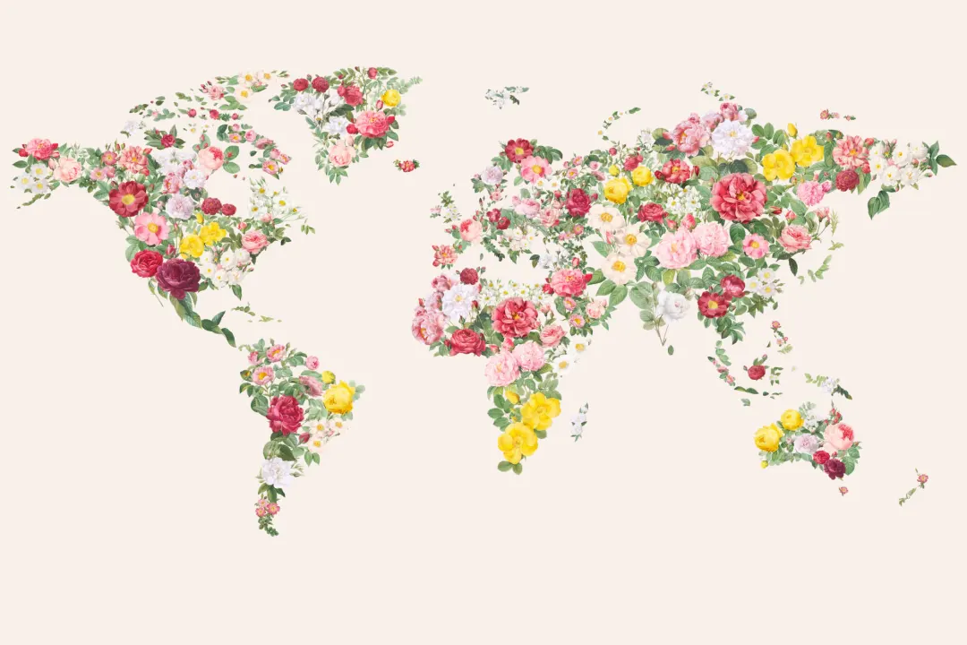 Colorful Abstract Vintage Flower World Map Wallpaper Mural