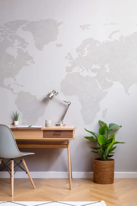 Papel Pintado Mapamundi Gris Minimalista