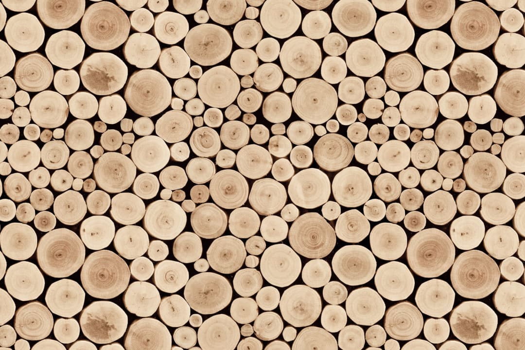 Chopped Beech Logs Wallpaper Mural
