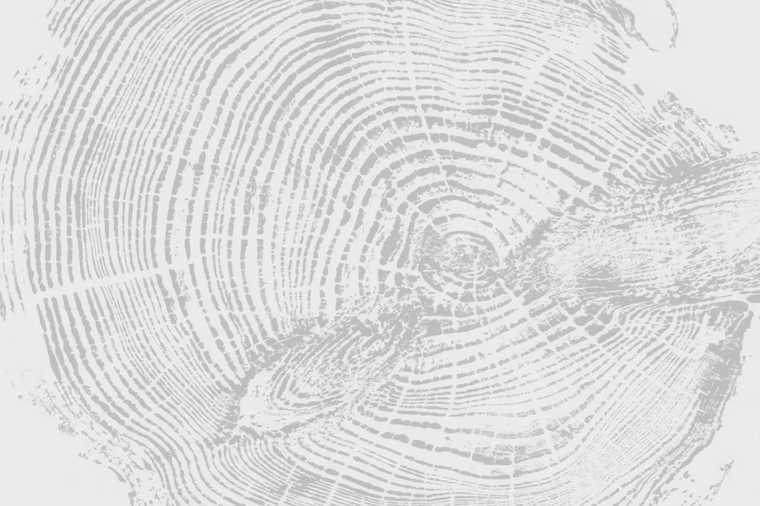Light Gray Scandinavian Wood Print Wallpaper Mural