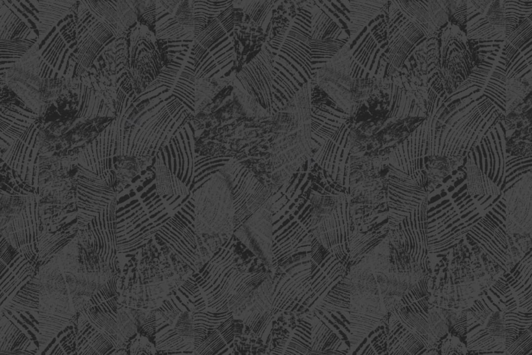 Papier Peint Panoramique Imitation Bois avec Motif de Tronc d’Arbre en Noir et Gris