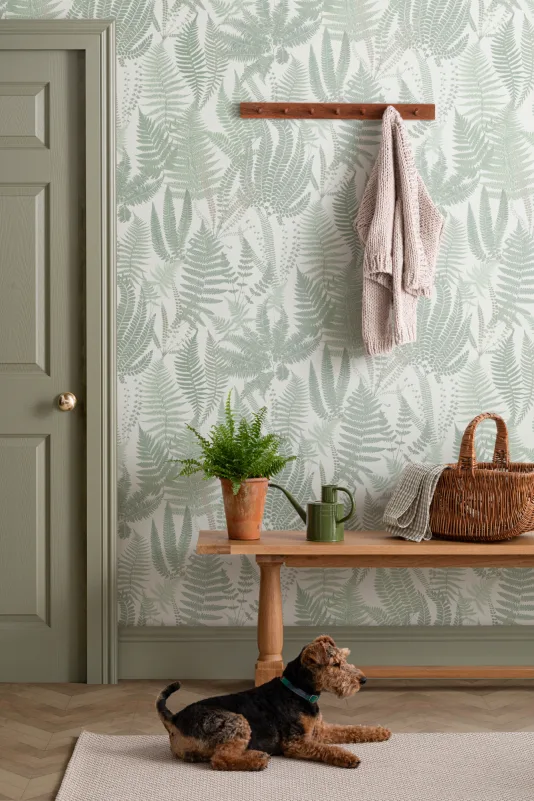 monstera allergie Das AIRY System L mit Monstera (Fensterblatt)