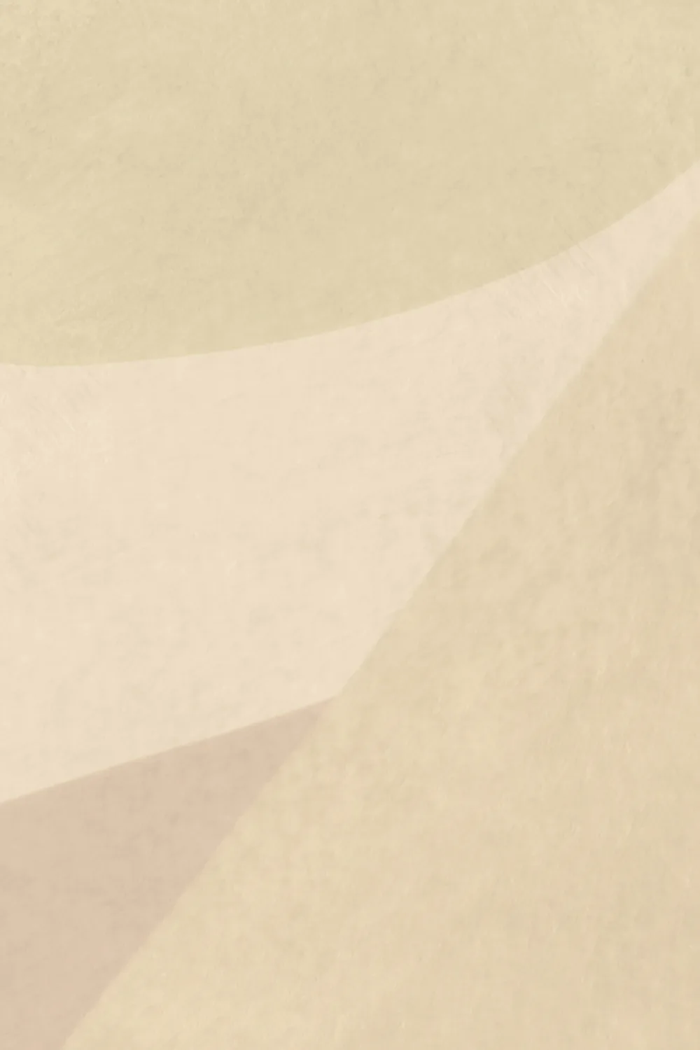 Neutral Abstract Serenity Modern Style Wall Mural