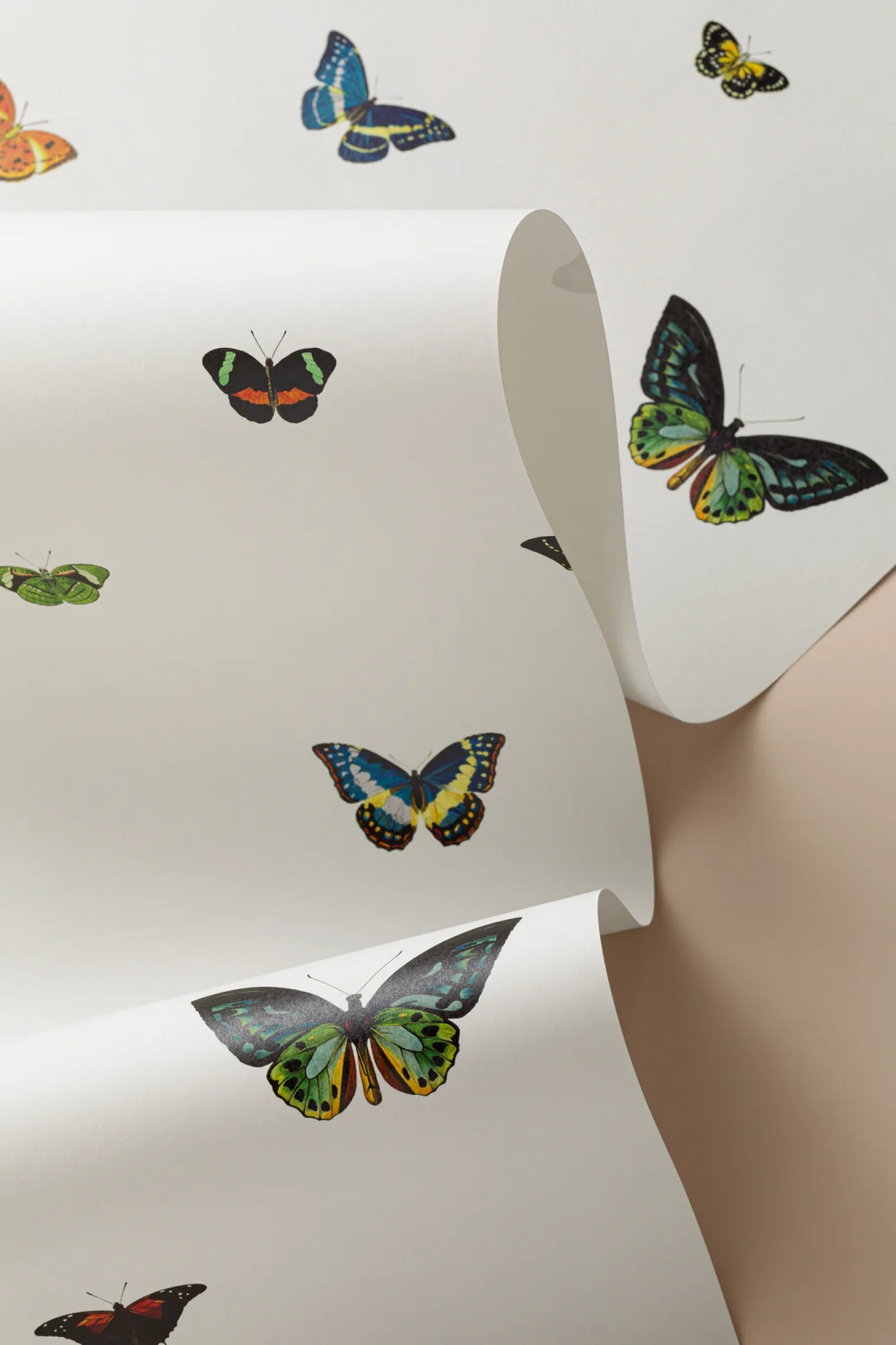Vintage Butterfly Wallpaper Mural