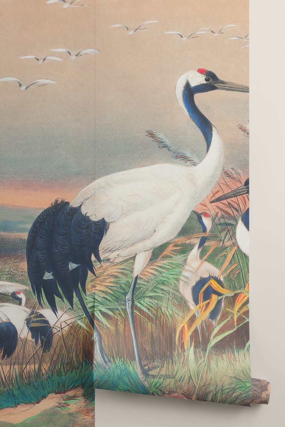 Carta da parati Cranes in Wetlands dipinta a mano da Joseph Wolf