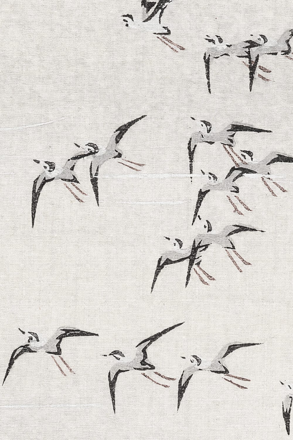 Grå fugle i flok Minimalistisk natur Kunstnerisk fototapet
