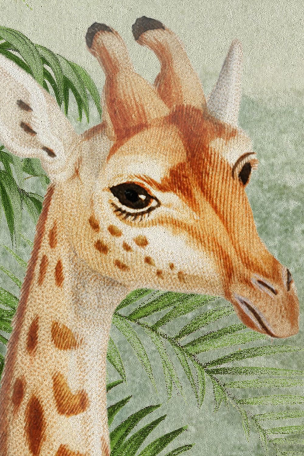 Illustrazione di giraffa tropicale d'epoca Murale