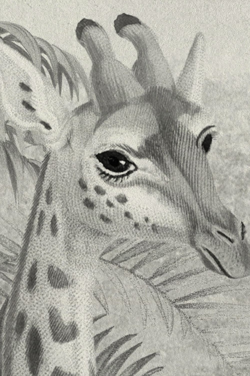 Grey Vintage Tropical Giraffe Illustration Mural