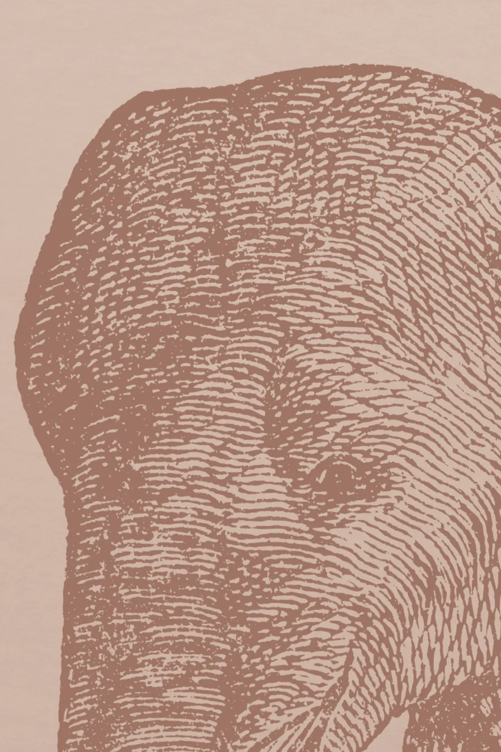 Terracotta Vintage Explorer Elephant Wallpaper Mural