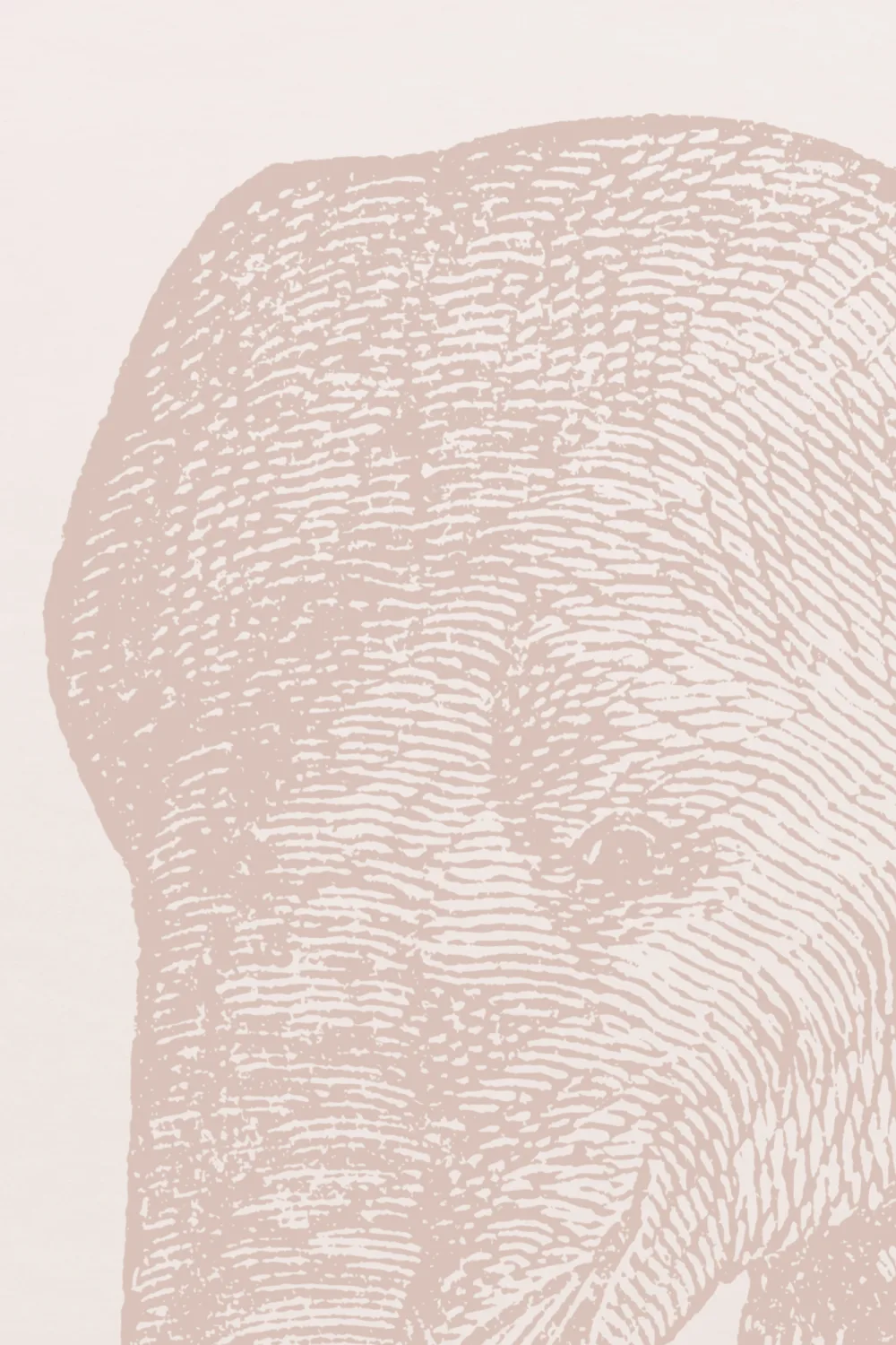 Pink Vintage Explorer Elephant Wallpaper Mural