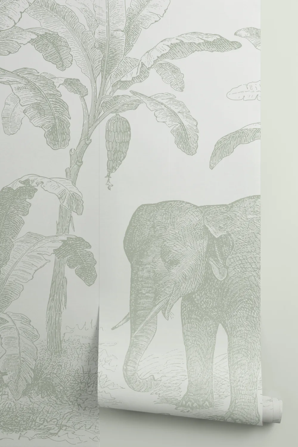 Carta da parati Elefante esploratore verde salvia